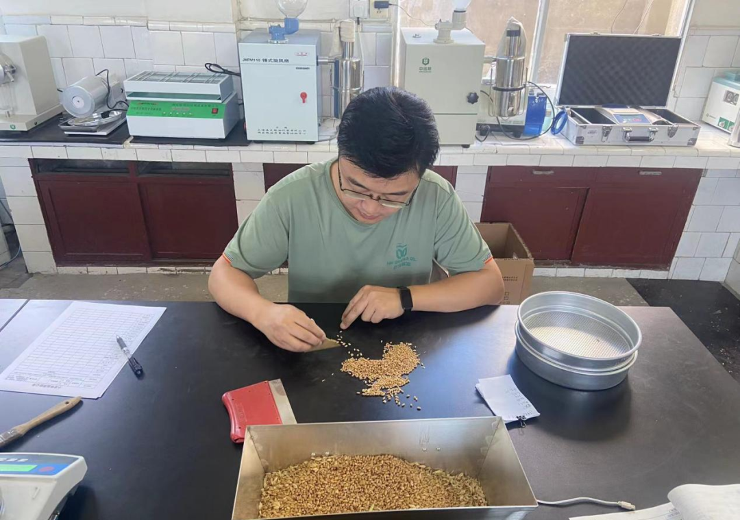 贝斯特 - 全球最奢华的游戏平台