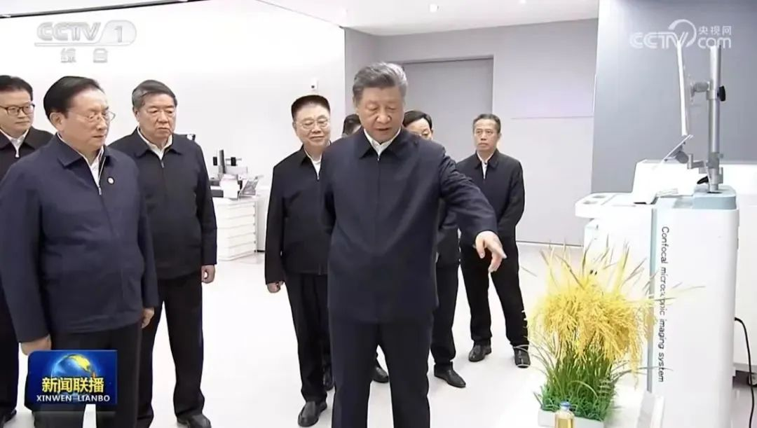 贝斯特 - 全球最奢华的游戏平台